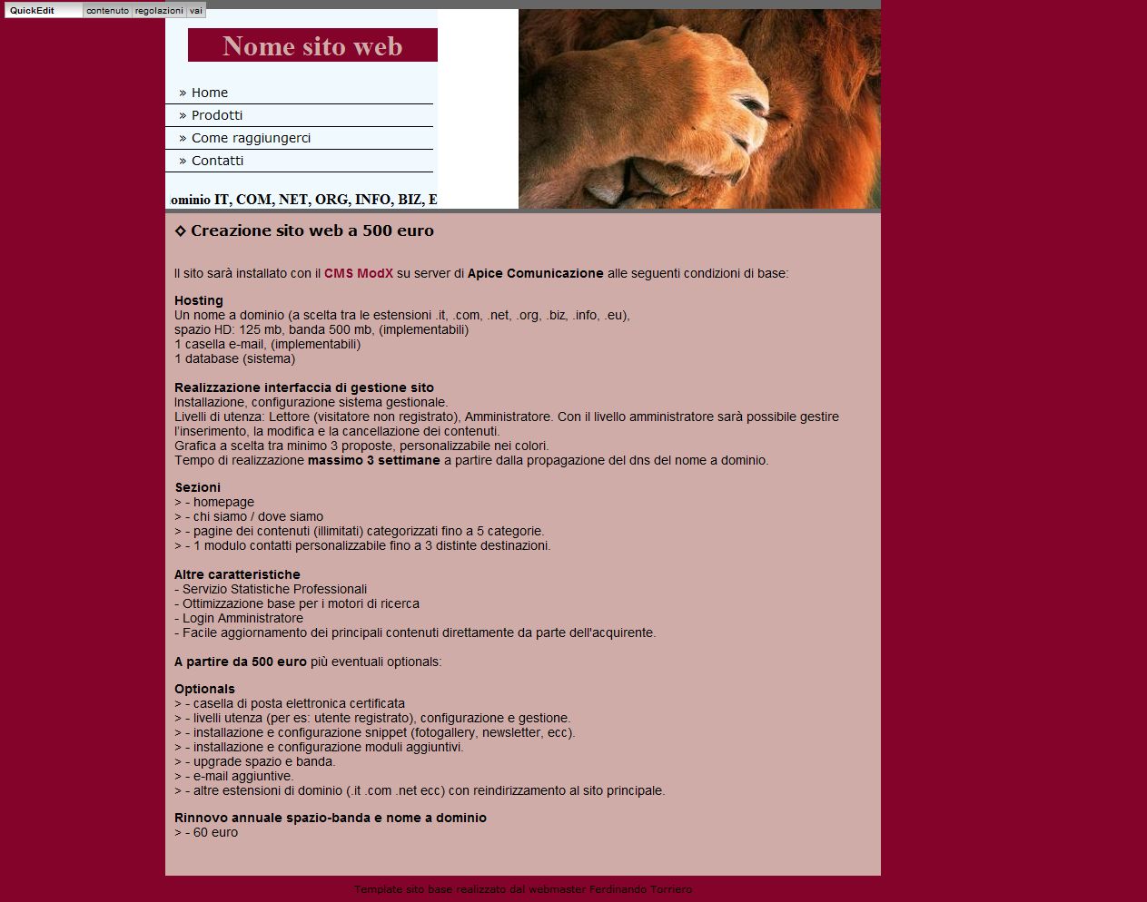 sito  web agenzia immobiliare