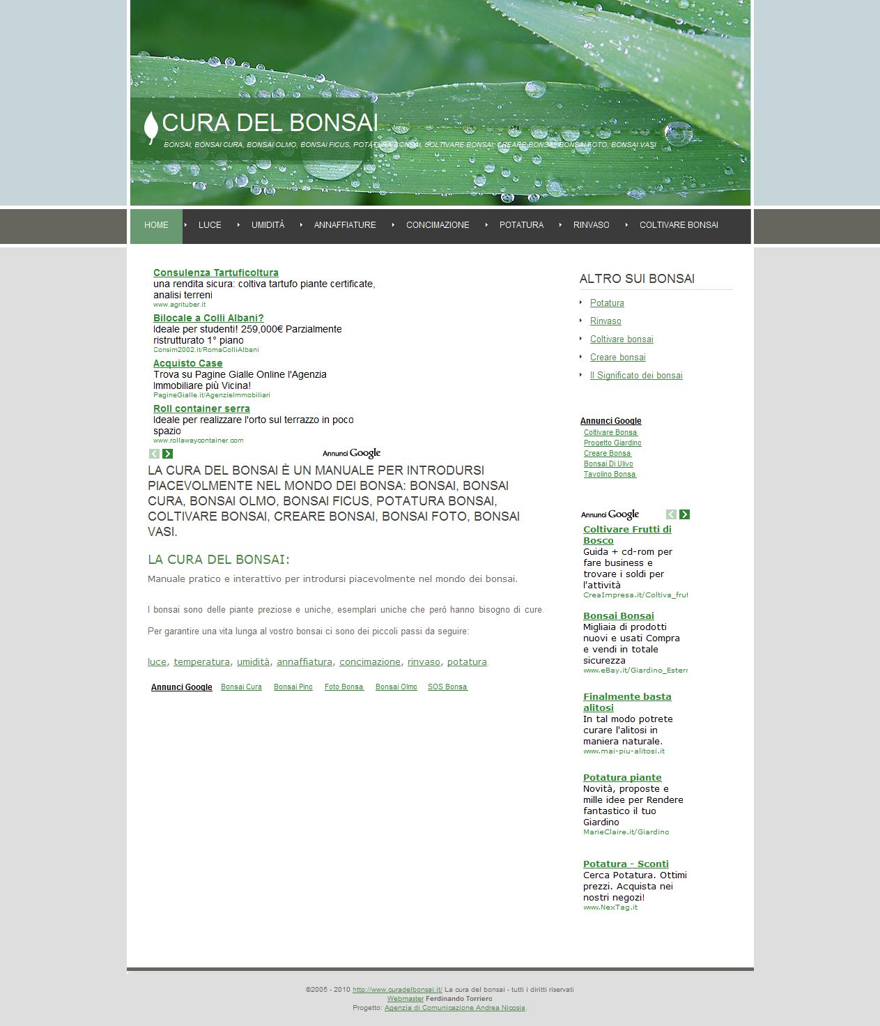 sito web